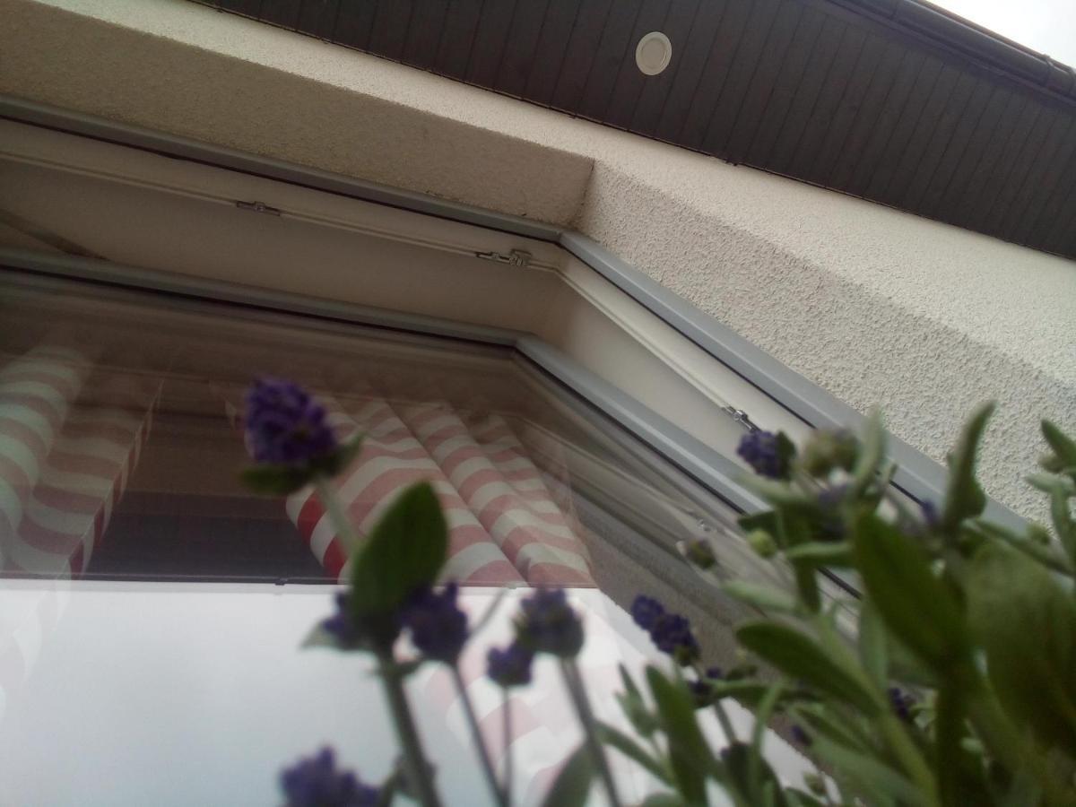 Domki Osada Kalinowa Leba Nowecin Sauna Exterior foto
